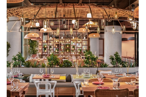  深圳的餐飲家具批發(fā)廠家，餐桌椅子批發(fā)市場(chǎng)在哪里？